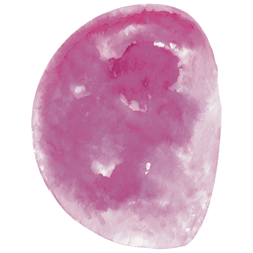 Waning Gibbous Icon